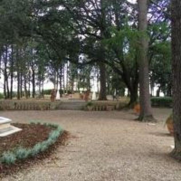 Societa' Agricola Madonnina del Chiaro - Damiani S.n.c. di Anna e Alessandro Damiani - Foto 4