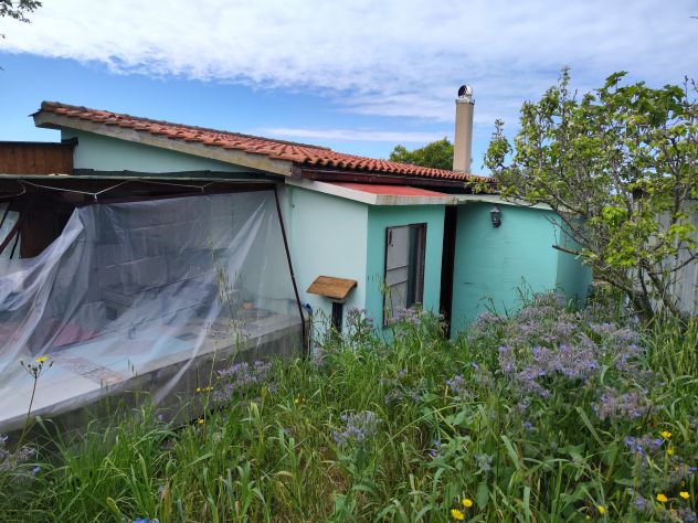 Rustico con terreno - Foto 3