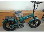 Bicicletta elettrica pieghevole Engwe EP-2 Pro (o simile modello Boost)