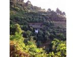 B&B Villa Pietra Fiore