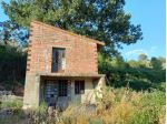 TERRENO AGRICOLO di 4 vani e di 37220 mq (CASTELFIORENTINO) rif. C 04