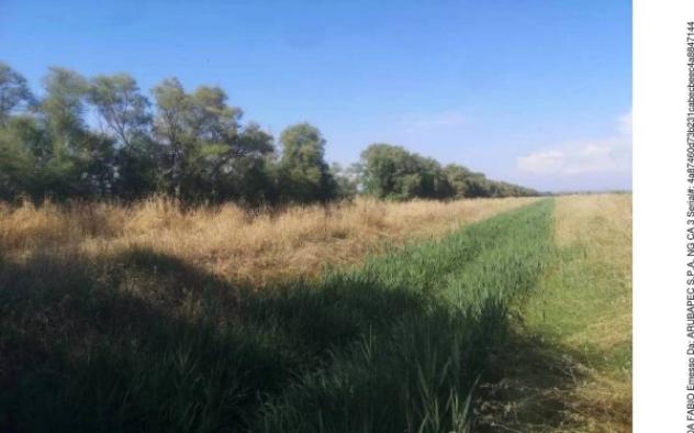 Immobile in asta di 89313 m² in vendita a Fiumicino - Foto 4