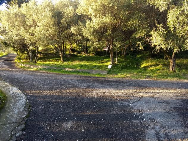 Terreno agricolo in vendita a Luni 2820 mq Rif: 1063771 - Foto 7
