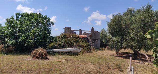 MONTALTO DI CASTRO - OTTIMA OPPORTUNUITA' - Foto 3