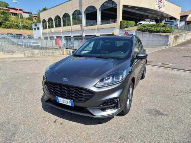 FORD Kuga 2.0 EcoBlue 120 CV aut. 2WD ST-Line rif. 24000036
