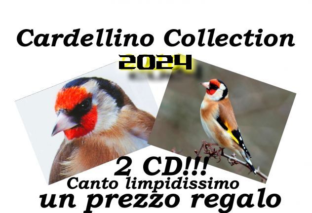 2 CD Il canto del cardellino audio limpidissimo