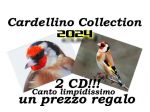2 CD Il canto del cardellino audio limpidissimo