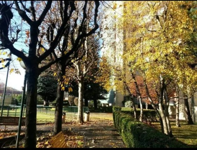 Stanza singola in trilocale con giardino privato - Foto 7