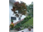 Villa in affitto a Arcugnano