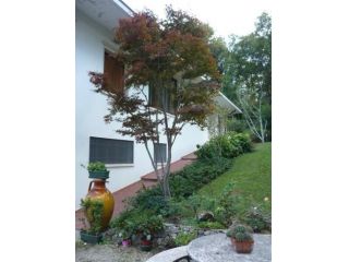 Villa in affitto a Arcugnano