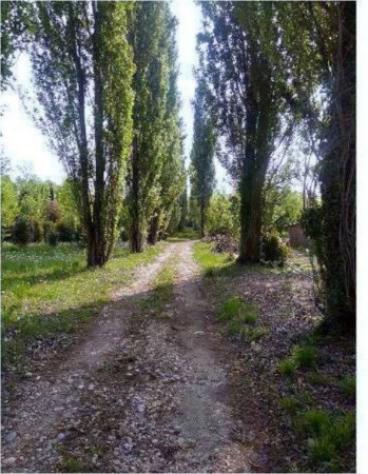 Immobile in asta di 11048 m² in vendita a Caneva - Foto 9