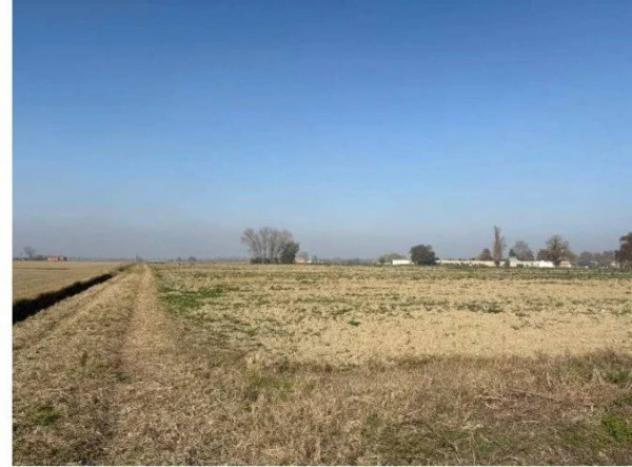 Immobile in asta di 109744 m² in vendita a Molinella - Foto 3