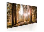 Quadro Foresta Alberata Beige ARREDALACASA