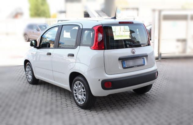 FIAT Panda 3ª serie Panda 1.0 FireFly S&S Hybrid Pandina - Foto 5