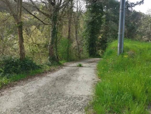 Immobile in asta di 45 m² in vendita a Varese Ligure - Foto 11