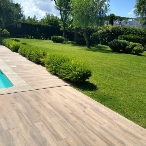 Impresa Giardinaggio e paesaggi - Foto 3