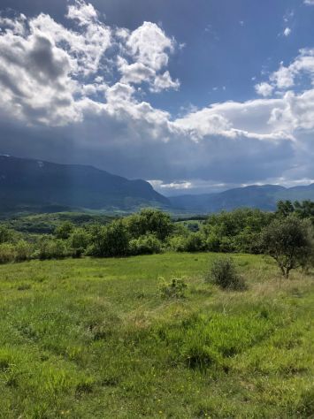 Ampia Tenuta Agricola in Abruzzo - Foto 4