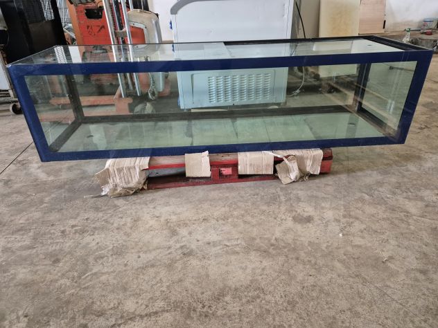 ACQUARIO PER ESPOSIZIONE CROSTACEI USATO
