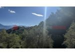 Terreno Agricolo - Fumone . Rif.: Cod. rif 3318314VRG