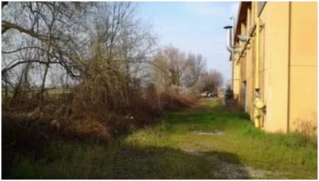 Immobile in asta di 2145 m² in vendita a Casalmaggiore - Foto 10