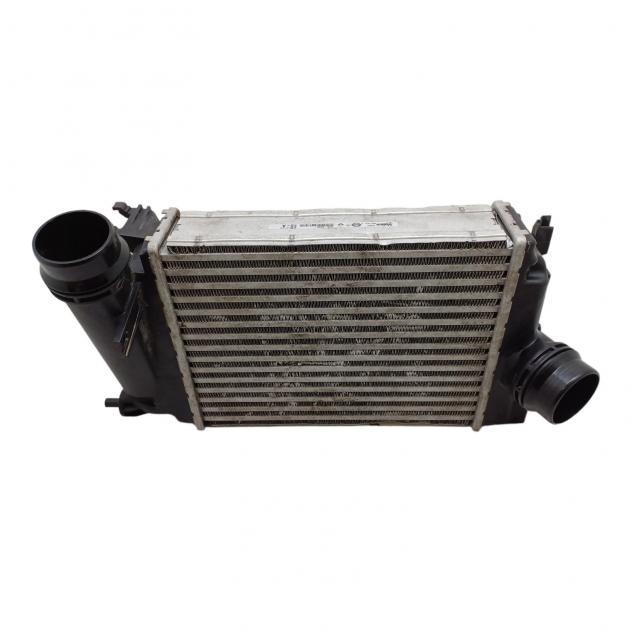 INTERCOOLER RENAULT Kadjar Serie 14461-4EA0A K9K 646, K9K 647, K9K 648, K9K 649 Diesel 1500 (15)