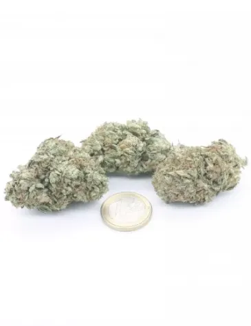 White CBG - Foto 3