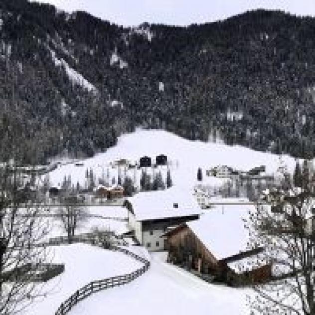 Les Dolomites Mountain Lodges - Foto 3