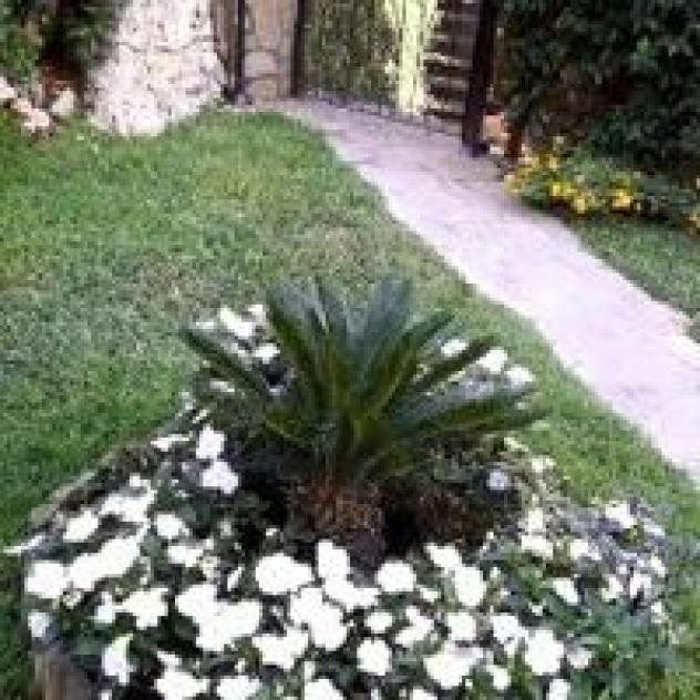 B&B La Casa dei Fiori - Foto 3