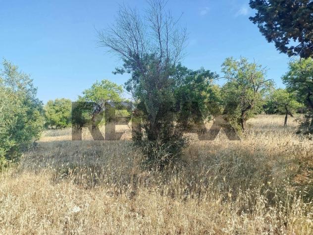 Terreno in vendita a Canicattini Bagni - Foto 6
