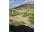 Immobile in asta di 155290 m² in vendita a Salemi