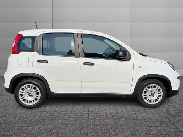 FIAT Panda 1.0 FireFly 70cv S&S Hybrid - Foto 3