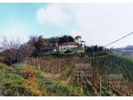 Rocca Grimalda, vendesi villa padronale con annessa azienda agricola vitivi &hellip;