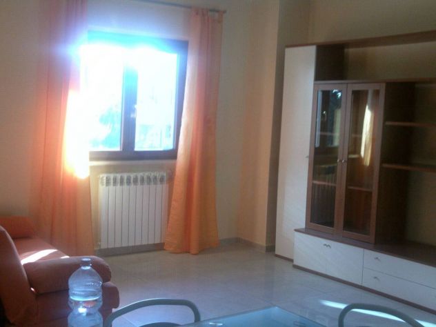 OSTIA BILOCALE ARREDATO CON BALCONE - Foto 8