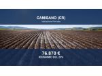 Immobile in asta di 17660 m² in vendita a Camisano