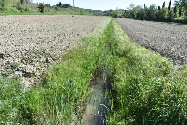 TERRENO AGRICOLO di 1 vani e di 23490 mq (CASTELFIORENTINO) rif. C 225 - Foto 2