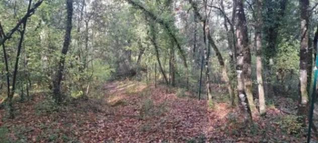 Immobile in asta di 269760 m² in vendita a Rapolano Terme - Foto 2