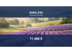 Immobile in asta di 1124 m² in vendita a Sora