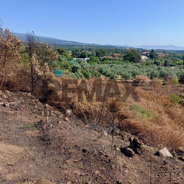 Terreno in vendita a Zafferana Etnea, Pisano - Foto 11