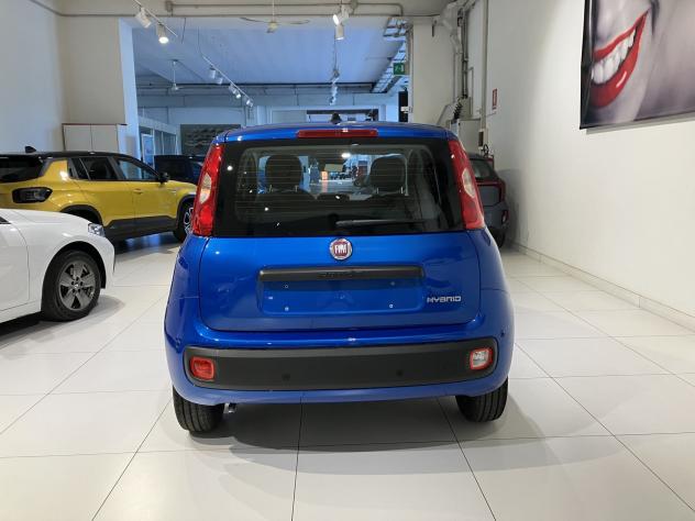 FIAT Panda 1.0 FireFly 70cv S&S Hybrid Icon vari colori - Foto 5