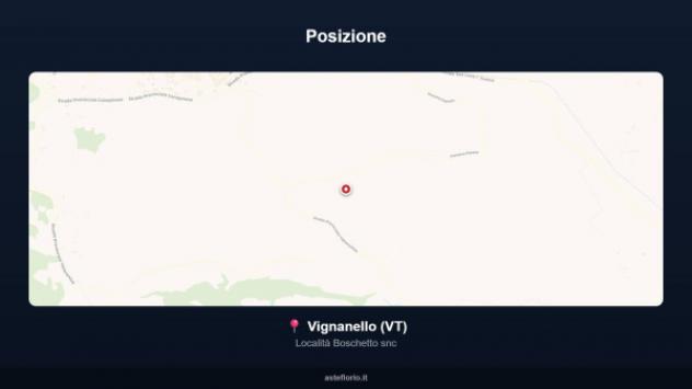 Immobile in asta di 96 m² con più di 5 locali in vendita a Vignanello - Foto 13