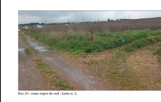 Immobile in asta di 21432 m² in vendita a Viterbo - Foto 4