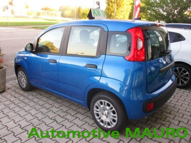 FIAT Pandina 1.0 FireFly 65 CV Hybrid Icon- NEOPATENTATI rif. 23918285 - Foto 5