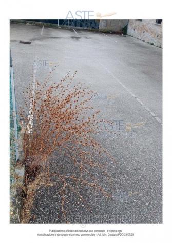 IMMOBILI-ALTRA CATEGORIA-Via Francesco Magnanini s.n. - Foto 4