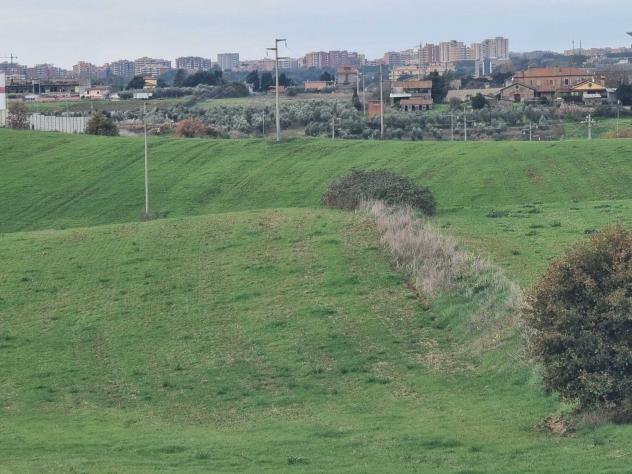 Agricolo in Via della Pescarella - Foto 5