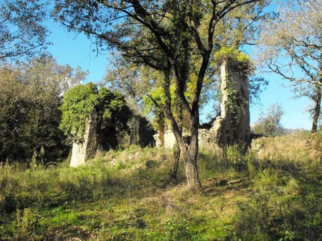 Agricolo in Via Salicuneta - Foto 10