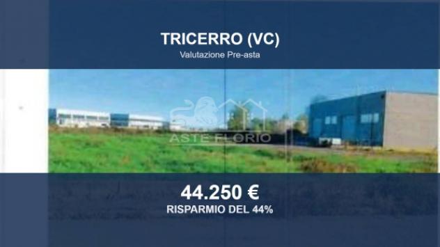 Immobile in asta di 2810 m² in vendita a Tricerro