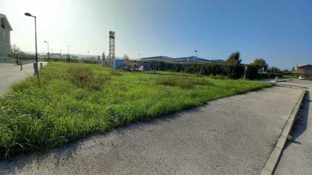 Agricolo in vendita a Santarcangelo di Romagna