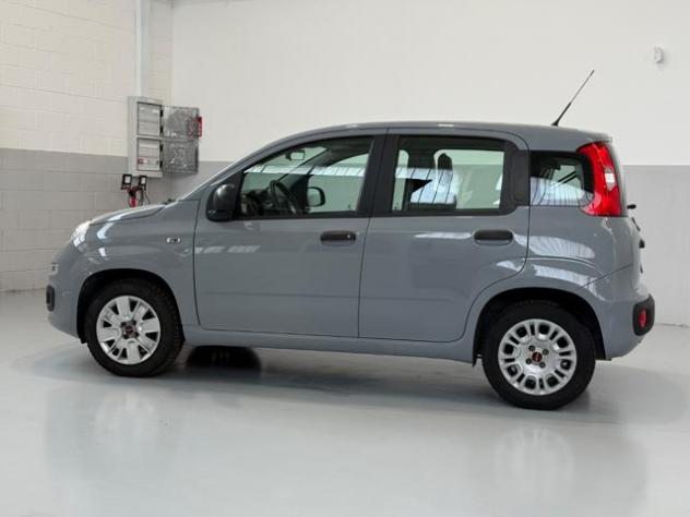 FIAT Panda 1.2 Easy rif. 23689324 - Foto 8