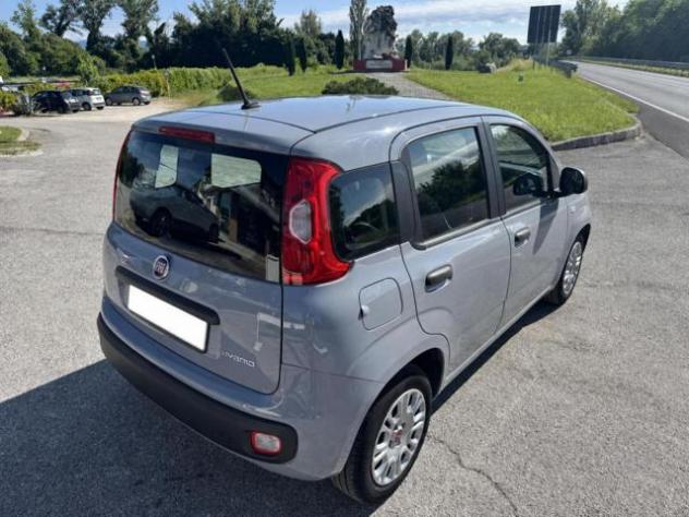 FIAT Panda III 1.0 FireFly 70Cv S&S Hybrid Easy rif. 23724090 - Foto 6