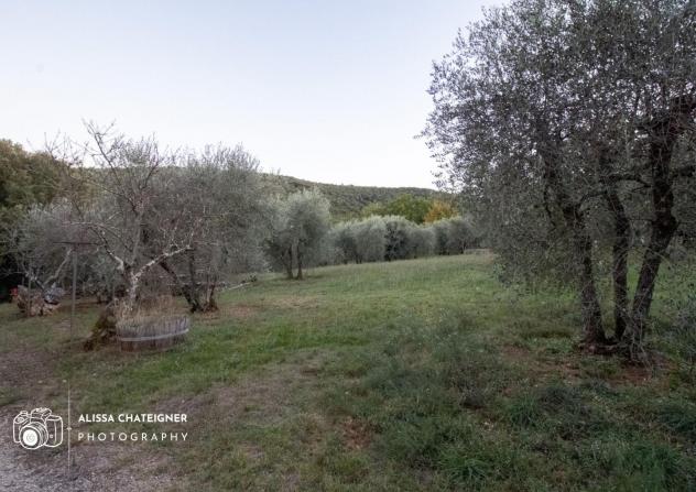 Casale in vendita a Pian Del Lago - Monteriggioni 310 mq Rif: 1254753 - Foto 3